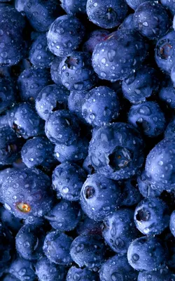 Pin by Dariya on Обои для телефона / вкусняшки | Blueberry, Shades of blue,  Health fitness inspiration