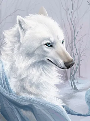 Image Wolves Beautiful White animal Painting Art 600x800