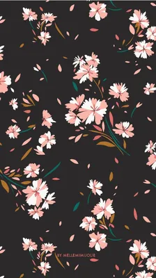 Idk who made it :( | Kitty wallpaper, Cute wallpaper backgrounds, Cute  patterns wallpaper