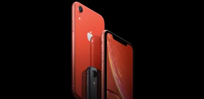 Как загрузить эксклюзивные обои iPhone XR | AppleInsider.ru