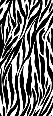 Картинка Zebra Print для iPhone 12 Pro