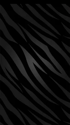 Zebra Wallpaper | Обои зебра, Пастельные фотографии, Фоновые изображения