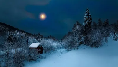 Обои на телефон | Holiday wallpaper, Wallpaper, Winter art