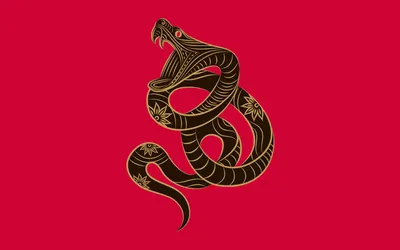 Обои на телефон | Pretty snakes, Snake, Snake wallpaper