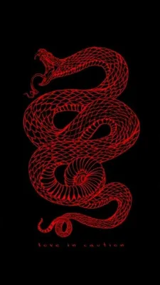 Pin by I Loooove Stepa on обои | Snake wallpaper, Red aesthetic grunge,  Dark wallpaper