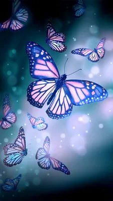 Pin by _marley_ on Обои с бабочками | Butterfly wallpaper iphone, Purple  butterfly wallpaper, Purple wallpaper iphone