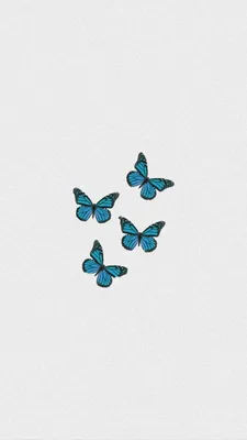 живыеобоинателефон#бабочки🦋🦋🦋 | TikTok