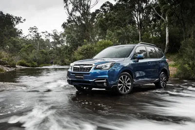 Vehicles Subaru Forester HD Wallpaper