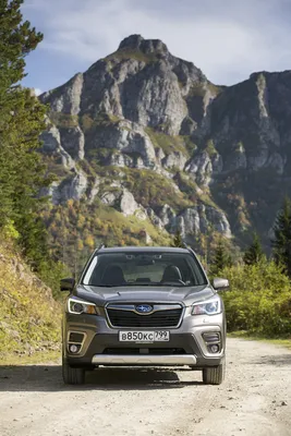 Subaru Forester Sf5 Wallpaper for iPhone 7 Plus