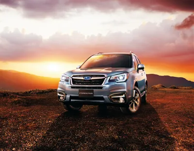 Vehicles Subaru Forester 4k Ultra HD Wallpaper