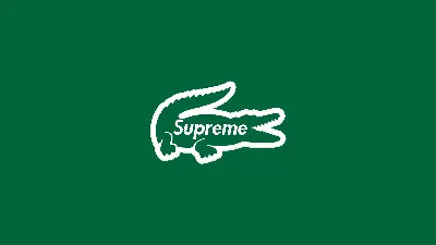 Supreme Gucci Wallpapers - Top Free Supreme Gucci Backgrounds -  WallpaperAccess | Louis vuitton iphone wallpaper, Supreme iphone wallpaper,  Hypebeast wallpaper