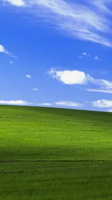 Wallpaper Windows 11, Microsoft, 4K, OS #23477