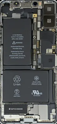 iFixit поделилась обоями с рентген-снимками iPhone 12 - Rozetked.me