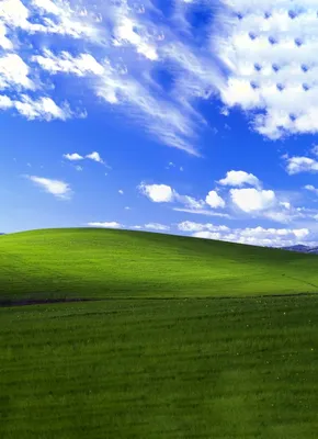 Windows XP desktop wallpaper experiments. Blender X PhotoShop #windows... |  TikTok