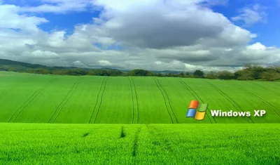 Windows XP скачать обои на телефон.