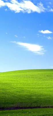 Download \"Windows Xp\" wallpapers for mobile phone, free \"Windows Xp\" HD  pictures