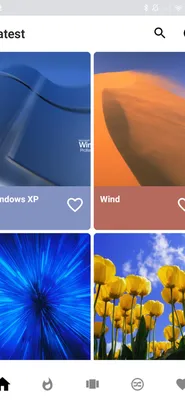 Bliss,\" created by Charles O'Rear in 1996 became the default background for Windows  XP. The image is recognized as the most viewed photo… | Instagram