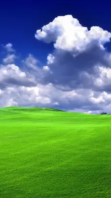 Download \"Windows Xp\" wallpapers for mobile phone, free \"Windows Xp\" HD  pictures