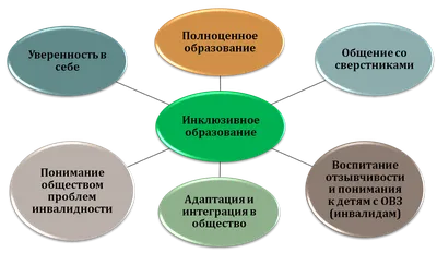 Умничать необязательно: среднее специальное образование стало  суперпопулярным