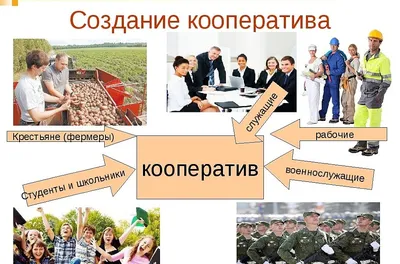 План@umsch_o 🔑 План: Общество как открытая система Крутой план по  обществознанию, который поможет.. | ВКонтакте