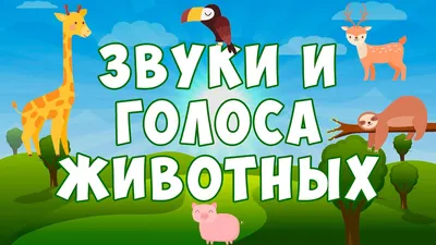 Плакат обучающий А2 \"Животные фермы\" купить в интернет магазине Растишка в  Тамбове