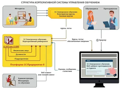 Комитет по здравоохранению Санкт-Петербурга | Целевая подготовка  специалистов 2024