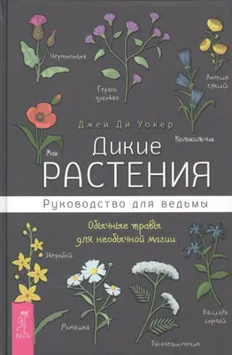 Книга «Сверхъестественный разум. Как обычные люди делают невозможное с  помощью силы подсознания» Диспенза Джо | ISBN 978-5-04-186707-2 |  Библио-Глобус