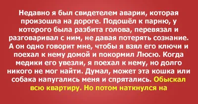 13 фильмов, над которыми плакала редакция КиноПоиска — Статьи на Кинопоиске