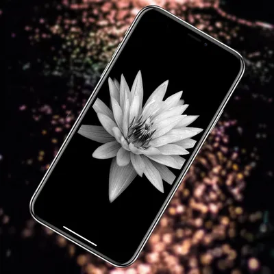 Где скачать качественные обои для Android-смартфона на любой вкус? Ответ  AMOLED Wallpapers - AndroidInsider.ru