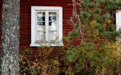 С днем рождения женщине - поздравления, открытки и картинки - Главред