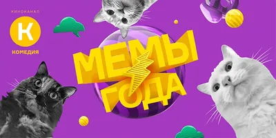 Ну очень смешные открытки для людей с чувством юмора 😁 Подойдут на любой  случай и даже просто без повода ◻️Цена: 25₽ ✨✨✨✨✨✨✨✨✨✨✨ Мы… | Instagram