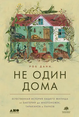 Как выглядят и чем занимаются актеры фильма «Один дома» спустя 31 год