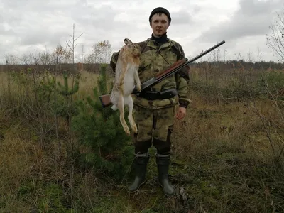 Трофейная охота в туристическом комплексе \"Красный Бор\", охота на мясо в  Беларуси