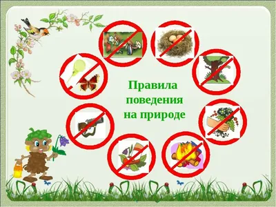 Экология | Illustrations and posters, Christmas decorations, Environmental  studies