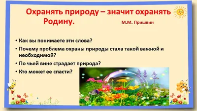 Информация и мероприятия по охране окружающей среды и экологической  безопасности