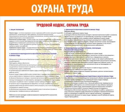 Подведены итоги областного конкурса детского рисунка «Охрана труда глазами  детей»