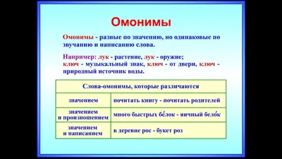 Японские слова-омонимы