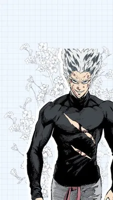 Garou One-Punch Man Wallpapers - Wallpaper Cave