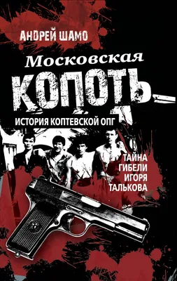 Глава МВД Турции показал поимку одного из лидеров российской ОПГ Шамиля  Амирова