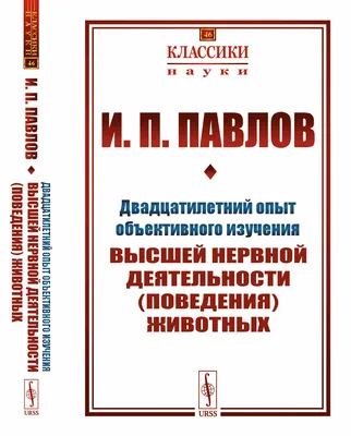 Как студенту подтвердить знания и опыт в резюме или мотивационном письме?