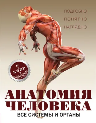 Купить Опыты Внутренние органы человека в Тольятти за 339 руб. –  интернет-магазин Мульти Бум