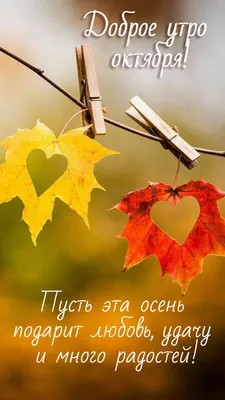 доброеутро #сдобрымутром #утро #fyp #музыка #осень #добро | TikTok