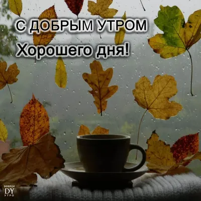 Доброе утро! С последним днём осени!#доброеутро #хорошегодня #споследн... |  TikTok