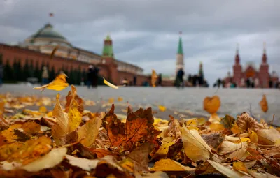 осень | Осенние картинки, Осенние фотографии, Осень