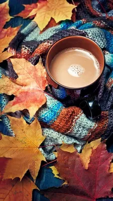 iPhone wallpaper autumn | Fall wallpaper, Autumn photography, Autumn cozy