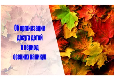 2 стиля, набор для рукоделия «Дерево Благодарения», 60 листов, осенние  наклейки с кленовым листом, самоклеящиеся подарки для детей, художественный  декор для занятий спортом – лучшие товары в онлайн-магазине Джум Гик