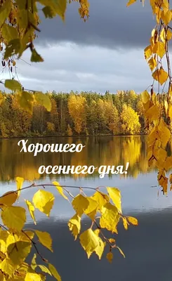 Огромный осенний привет 👋🏻😉🍂🍁 Скажу сразу, - спасибо всем кто пишет, с  кем общаюсь и прошу прощения кому не сразу отвечаю. Без лишних… | Instagram