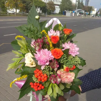 Осенний букет 💐 | Открытки, Красивые цветы, Осенние картинки