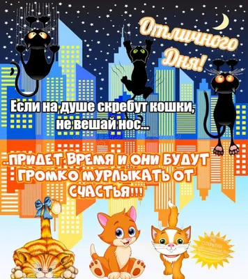 Открытки \"Доброго дня!\" и \"Хорошего настроения!\" (224 шт.)