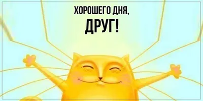 Картинки \"Хорошего дня и отличного настроения!\" (520 шт.)